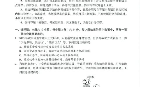 湖南省邵阳市2024-2025学年高二下学期7月期末考试生物试题+答案_2025年7月_250706湖南省邵阳市2024-2025学年高二下学期7月期末考试（全科）
