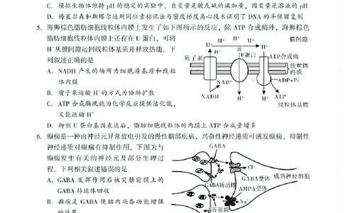 湖南省邵阳市2024-2025学年高二下学期7月期末考试生物试题+答案_2025年7月_250706湖南省邵阳市2024-2025学年高二下学期7月期末考试（全科）
