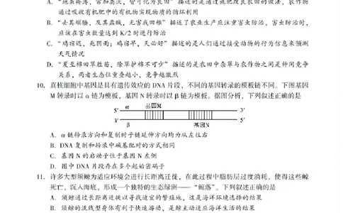 湖南省邵阳市2024-2025学年高二下学期7月期末考试生物试题+答案_2025年7月_250706湖南省邵阳市2024-2025学年高二下学期7月期末考试（全科）