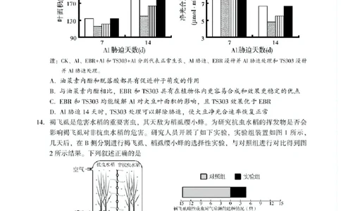 湖南省邵阳市2024-2025学年高二下学期7月期末考试生物试题+答案_2025年7月_250706湖南省邵阳市2024-2025学年高二下学期7月期末考试（全科）