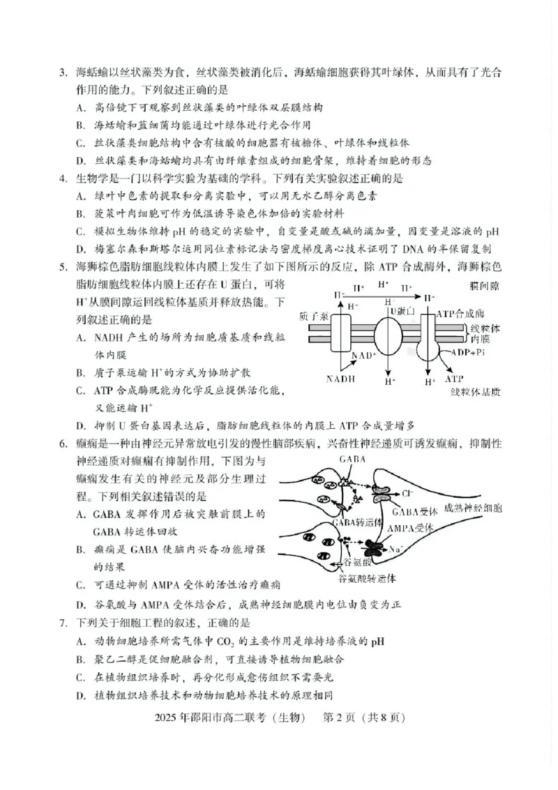 湖南省邵阳市2024-2025学年高二下学期7月期末考试生物试题+答案_2025年7月_250706湖南省邵阳市2024-2025学年高二下学期7月期末考试（全科）