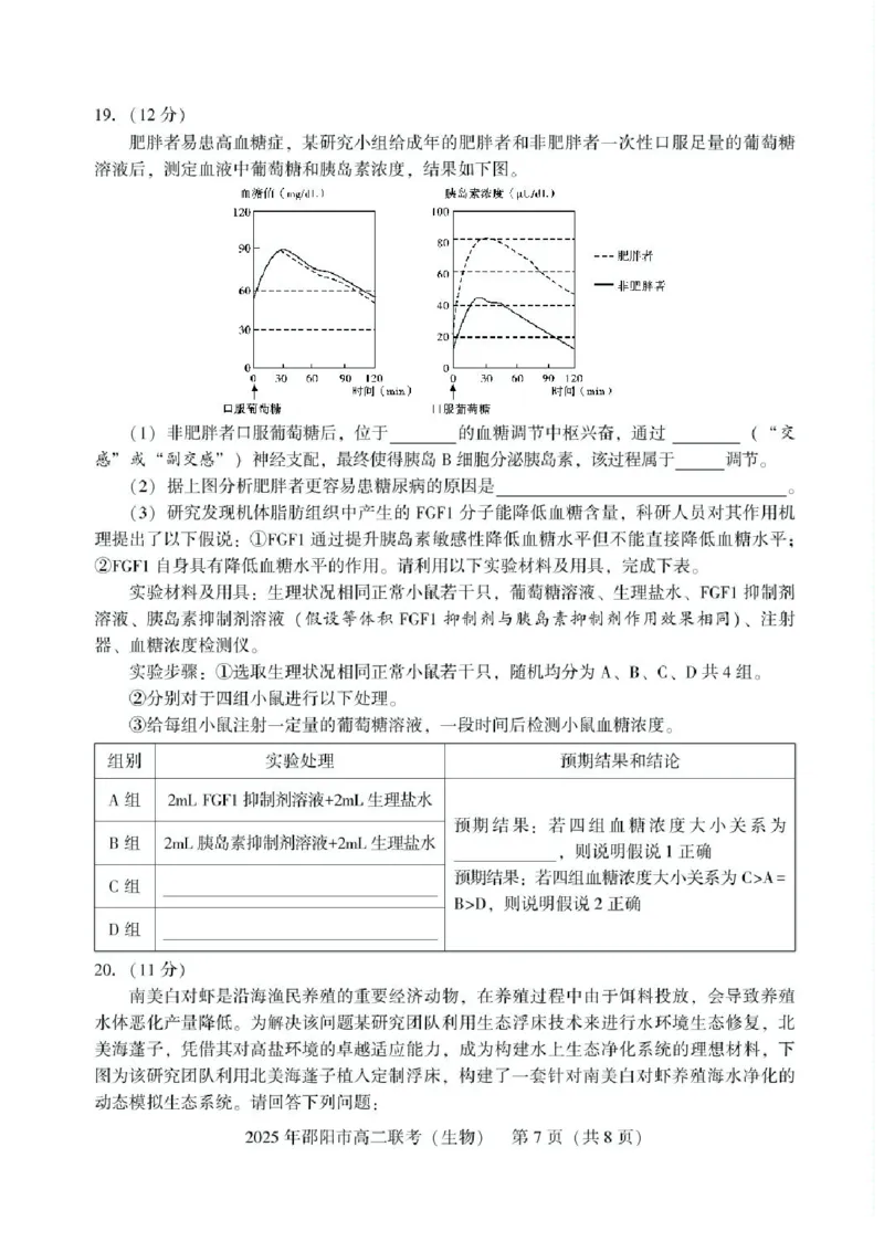 湖南省邵阳市2024-2025学年高二下学期7月期末考试生物试题+答案_2025年7月_250706湖南省邵阳市2024-2025学年高二下学期7月期末考试（全科）