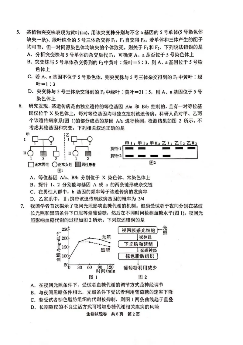 河南省安鹤新联盟2025-2026学年高三上学期12月联考生物试题（含答案）_2025年12月_251215河南省安鹤新联盟2025-2026学年高三上学期12月联考