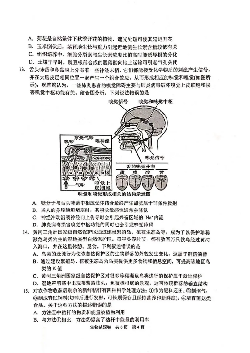河南省安鹤新联盟2025-2026学年高三上学期12月联考生物试题（含答案）_2025年12月_251215河南省安鹤新联盟2025-2026学年高三上学期12月联考