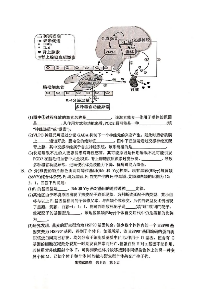 河南省安鹤新联盟2025-2026学年高三上学期12月联考生物试题（含答案）_2025年12月_251215河南省安鹤新联盟2025-2026学年高三上学期12月联考