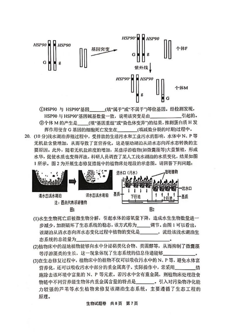 河南省安鹤新联盟2025-2026学年高三上学期12月联考生物试题（含答案）_2025年12月_251215河南省安鹤新联盟2025-2026学年高三上学期12月联考