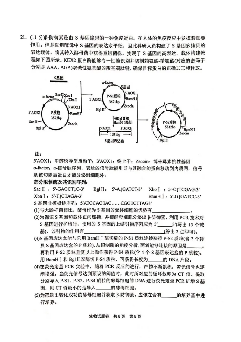 河南省安鹤新联盟2025-2026学年高三上学期12月联考生物试题（含答案）_2025年12月_251215河南省安鹤新联盟2025-2026学年高三上学期12月联考
