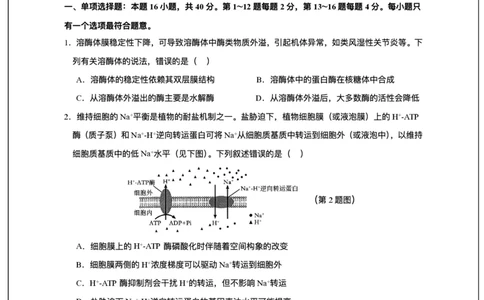 广东省东莞市七校2025-2026学年高三上学期12月期中联考生物试题_2025年12月_251210广东省东莞市七校2025-2026学年高三上学期12月联考（全科）