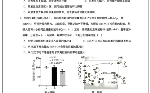 广东省东莞市七校2025-2026学年高三上学期12月期中联考生物试题_2025年12月_251210广东省东莞市七校2025-2026学年高三上学期12月联考（全科）