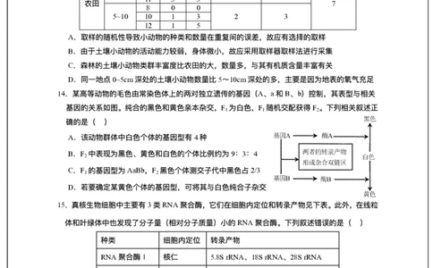 广东省东莞市七校2025-2026学年高三上学期12月期中联考生物试题_2025年12月_251210广东省东莞市七校2025-2026学年高三上学期12月联考（全科）