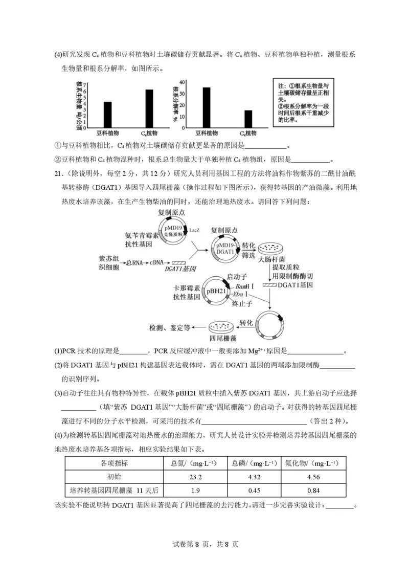 广东省东莞市七校2025-2026学年高三上学期12月期中联考生物试题_2025年12月_251210广东省东莞市七校2025-2026学年高三上学期12月联考（全科）