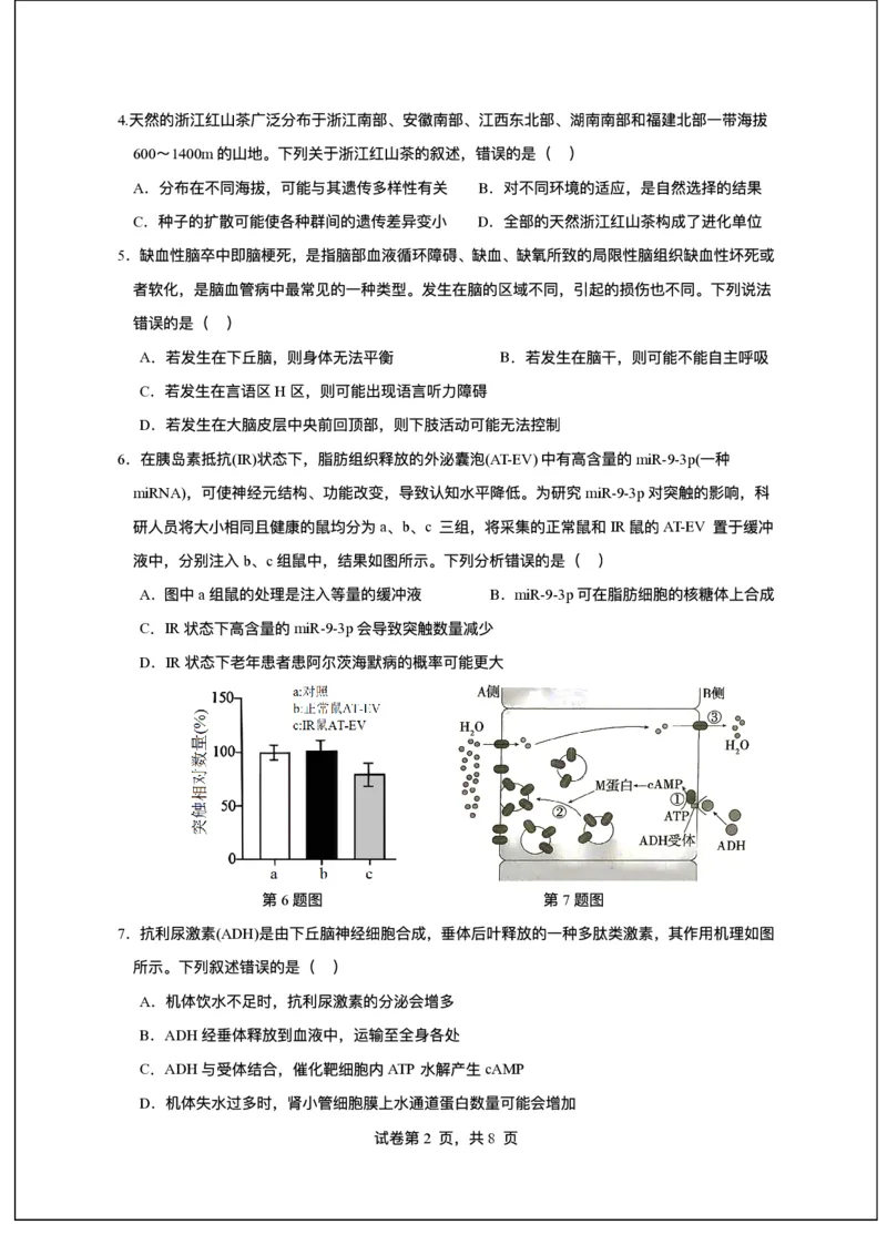广东省东莞市七校2025-2026学年高三上学期12月期中联考生物试题_2025年12月_251210广东省东莞市七校2025-2026学年高三上学期12月联考（全科）