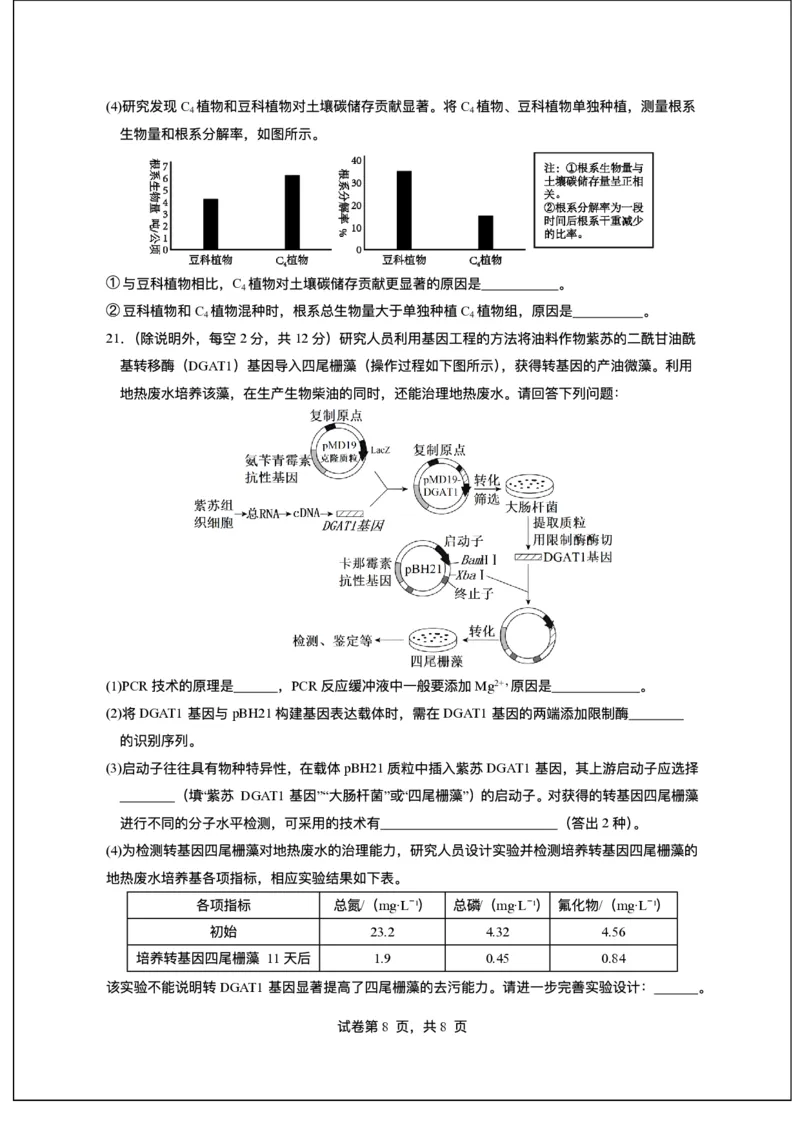广东省东莞市七校2025-2026学年高三上学期12月期中联考生物试题_2025年12月_251210广东省东莞市七校2025-2026学年高三上学期12月联考（全科）