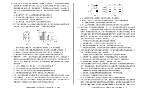 安徽省A10联盟2025-2026学年高三上学期12月学情检测生物A试题（含答案）_2025年12月_251224安徽省A10联盟2025-2026学年高三上学期12月学情检测（全科）