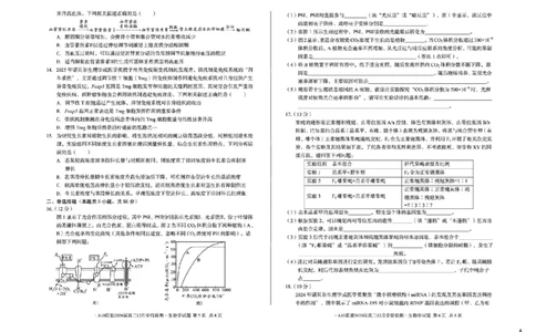 安徽省A10联盟2025-2026学年高三上学期12月学情检测生物A试题（含答案）_2025年12月_251224安徽省A10联盟2025-2026学年高三上学期12月学情检测（全科）