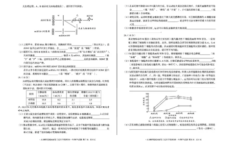 安徽省A10联盟2025-2026学年高三上学期12月学情检测生物A试题（含答案）_2025年12月_251224安徽省A10联盟2025-2026学年高三上学期12月学情检测（全科）