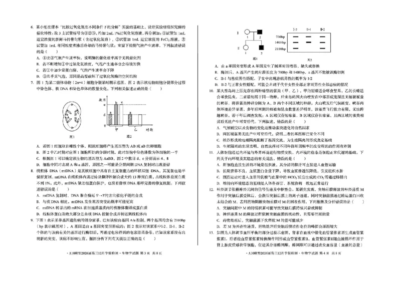 安徽省A10联盟2025-2026学年高三上学期12月学情检测生物A试题（含答案）_2025年12月_251224安徽省A10联盟2025-2026学年高三上学期12月学情检测（全科）