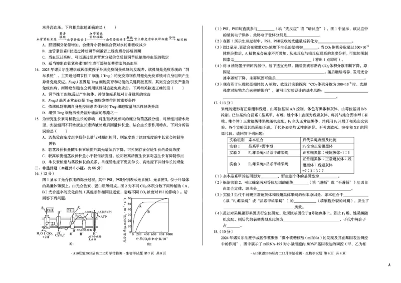 安徽省A10联盟2025-2026学年高三上学期12月学情检测生物A试题（含答案）_2025年12月_251224安徽省A10联盟2025-2026学年高三上学期12月学情检测（全科）