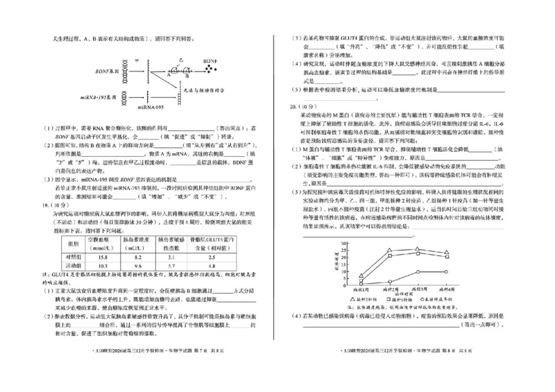 安徽省A10联盟2025-2026学年高三上学期12月学情检测生物A试题（含答案）_2025年12月_251224安徽省A10联盟2025-2026学年高三上学期12月学情检测（全科）