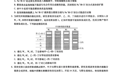 巴蜀中学2026届高考适应性月考卷（四）生物_2025年12月_251203重庆市巴蜀中学2026届高考适应性月考卷（四）（全科）