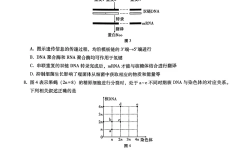 巴蜀中学2026届高考适应性月考卷（四）生物_2025年12月_251203重庆市巴蜀中学2026届高考适应性月考卷（四）（全科）