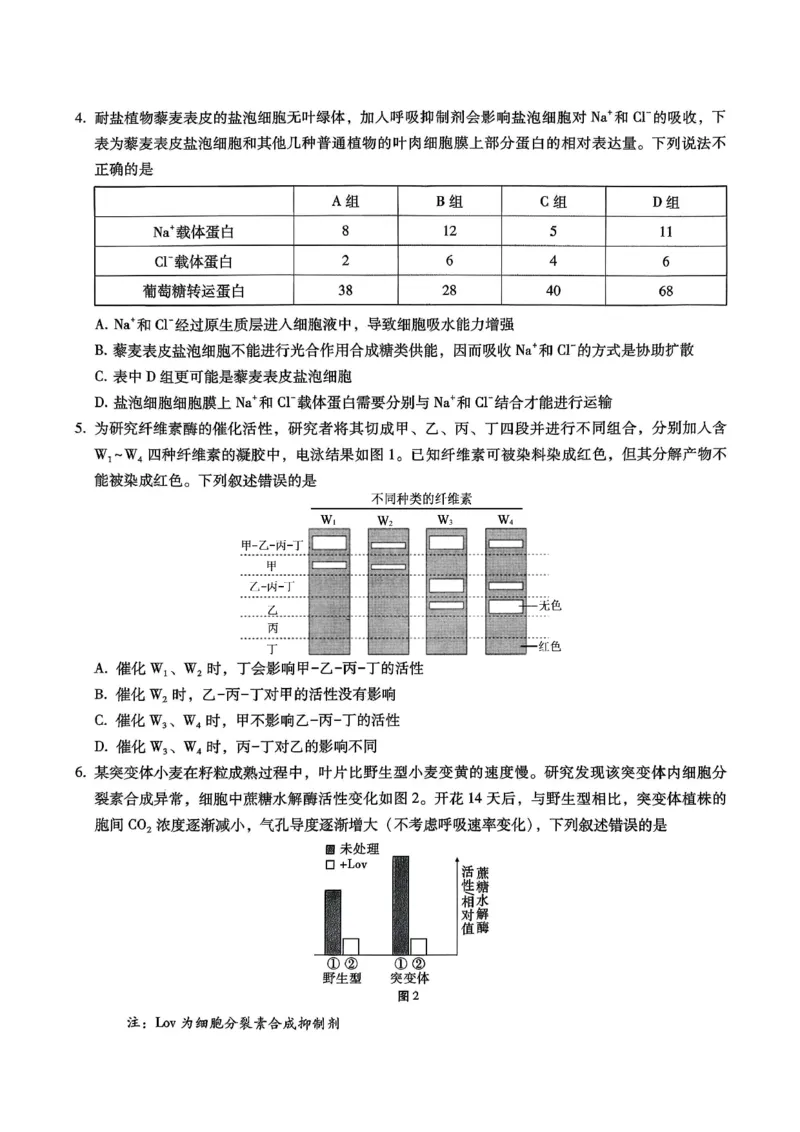 巴蜀中学2026届高考适应性月考卷（四）生物_2025年12月_251203重庆市巴蜀中学2026届高考适应性月考卷（四）（全科）