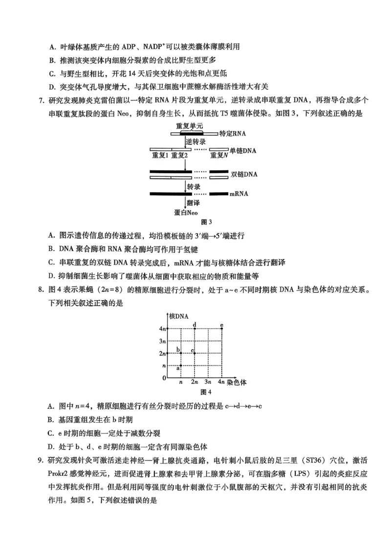 巴蜀中学2026届高考适应性月考卷（四）生物_2025年12月_251203重庆市巴蜀中学2026届高考适应性月考卷（四）（全科）