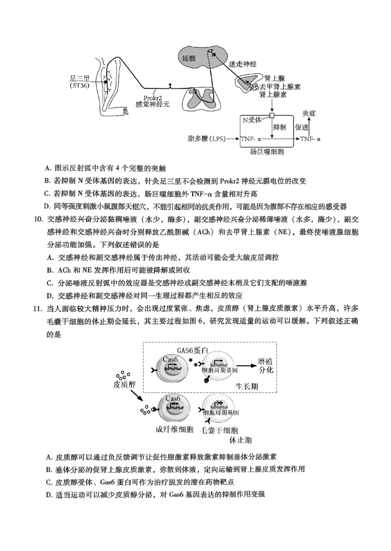 巴蜀中学2026届高考适应性月考卷（四）生物_2025年12月_251203重庆市巴蜀中学2026届高考适应性月考卷（四）（全科）