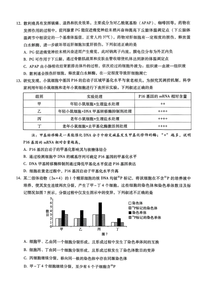 巴蜀中学2026届高考适应性月考卷（四）生物_2025年12月_251203重庆市巴蜀中学2026届高考适应性月考卷（四）（全科）
