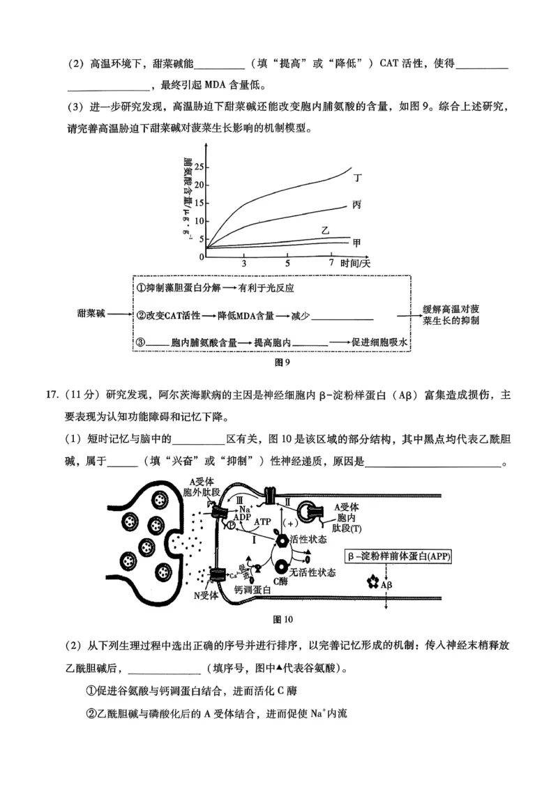 巴蜀中学2026届高考适应性月考卷（四）生物_2025年12月_251203重庆市巴蜀中学2026届高考适应性月考卷（四）（全科）