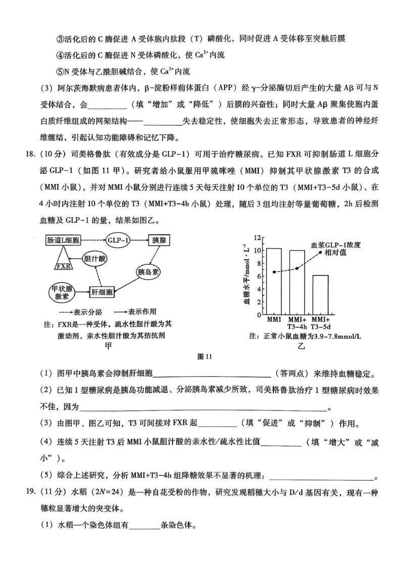 巴蜀中学2026届高考适应性月考卷（四）生物_2025年12月_251203重庆市巴蜀中学2026届高考适应性月考卷（四）（全科）