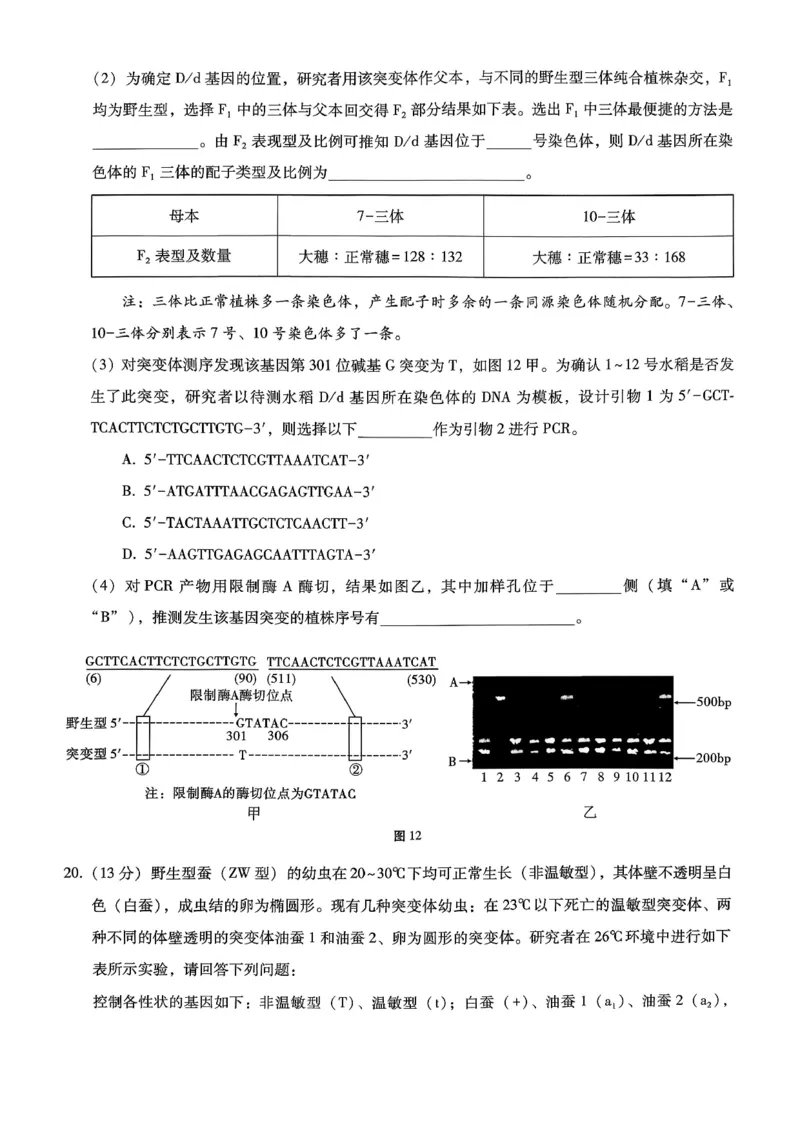 巴蜀中学2026届高考适应性月考卷（四）生物_2025年12月_251203重庆市巴蜀中学2026届高考适应性月考卷（四）（全科）