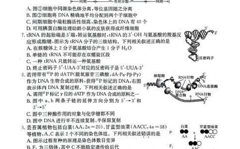 江苏金太阳百校联考2026届高三上学期12月生物试题+答案_2025年12月_251218江苏金太阳百校联考2026届高三上学期12月联考（197C1）（全科）