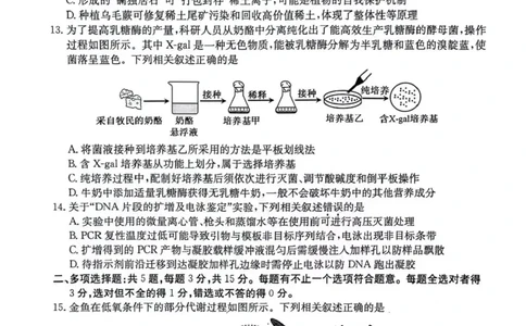 江苏金太阳百校联考2026届高三上学期12月生物试题+答案_2025年12月_251218江苏金太阳百校联考2026届高三上学期12月联考（197C1）（全科）