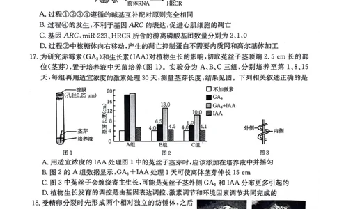 江苏金太阳百校联考2026届高三上学期12月生物试题+答案_2025年12月_251218江苏金太阳百校联考2026届高三上学期12月联考（197C1）（全科）