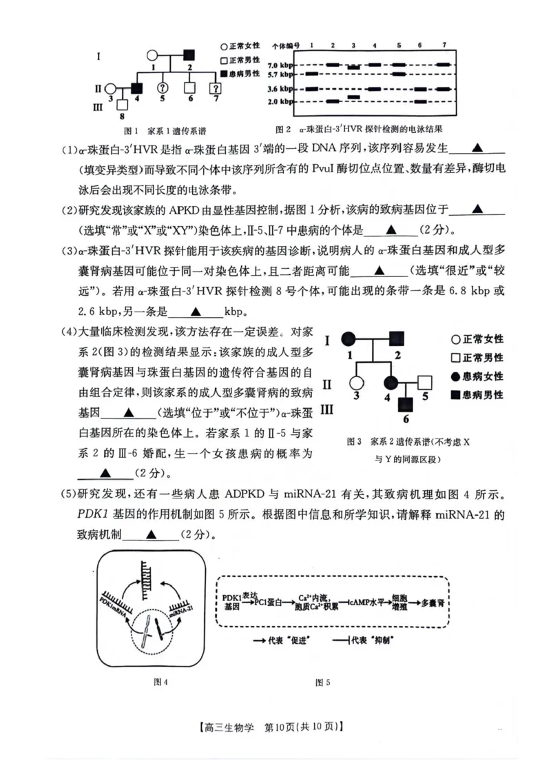 江苏金太阳百校联考2026届高三上学期12月生物试题+答案_2025年12月_251218江苏金太阳百校联考2026届高三上学期12月联考（197C1）（全科）