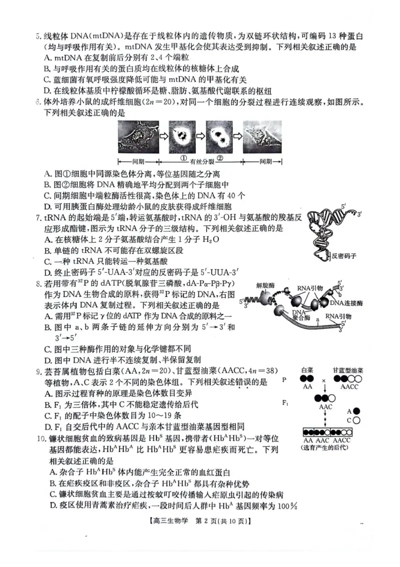 江苏金太阳百校联考2026届高三上学期12月生物试题+答案_2025年12月_251218江苏金太阳百校联考2026届高三上学期12月联考（197C1）（全科）