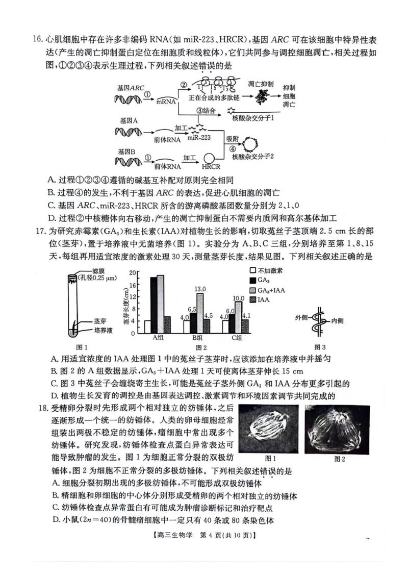 江苏金太阳百校联考2026届高三上学期12月生物试题+答案_2025年12月_251218江苏金太阳百校联考2026届高三上学期12月联考（197C1）（全科）