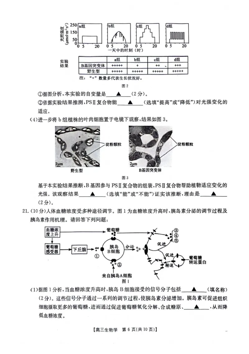 江苏金太阳百校联考2026届高三上学期12月生物试题+答案_2025年12月_251218江苏金太阳百校联考2026届高三上学期12月联考（197C1）（全科）