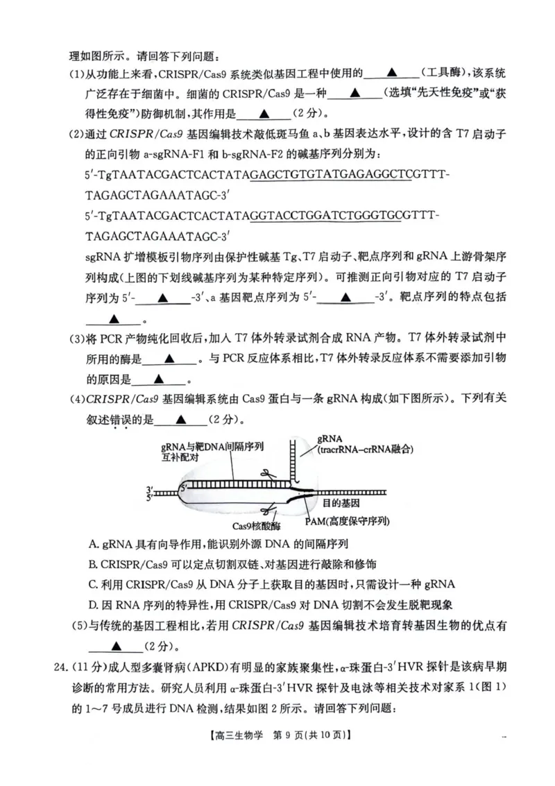 江苏金太阳百校联考2026届高三上学期12月生物试题+答案_2025年12月_251218江苏金太阳百校联考2026届高三上学期12月联考（197C1）（全科）