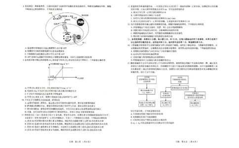 河北省保定市2025-2026学年高三上学期11月期中生物试题（含答案）_251105河北省保定市2025-2026学年高三上学期11月期中