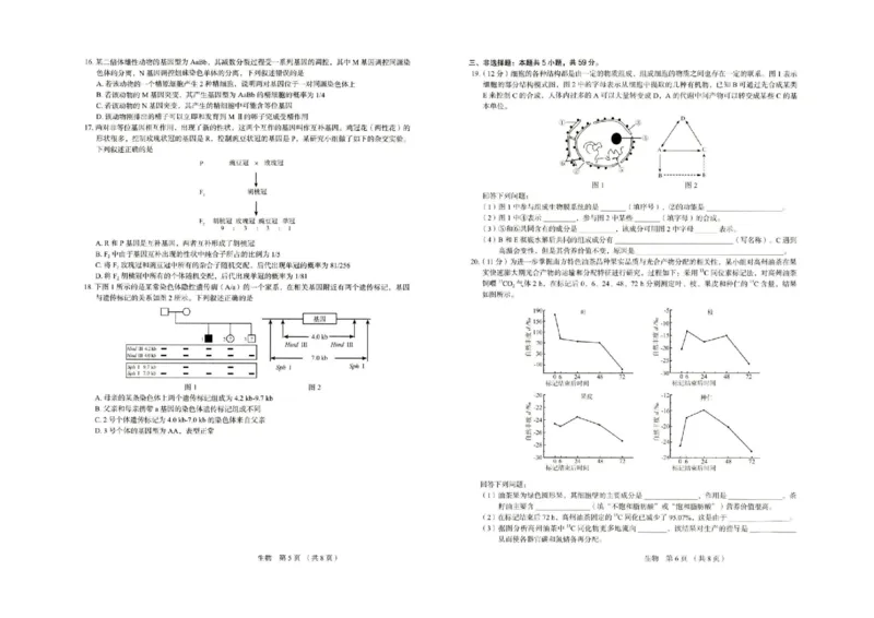 河北省保定市2025-2026学年高三上学期11月期中生物试题（含答案）_251105河北省保定市2025-2026学年高三上学期11月期中