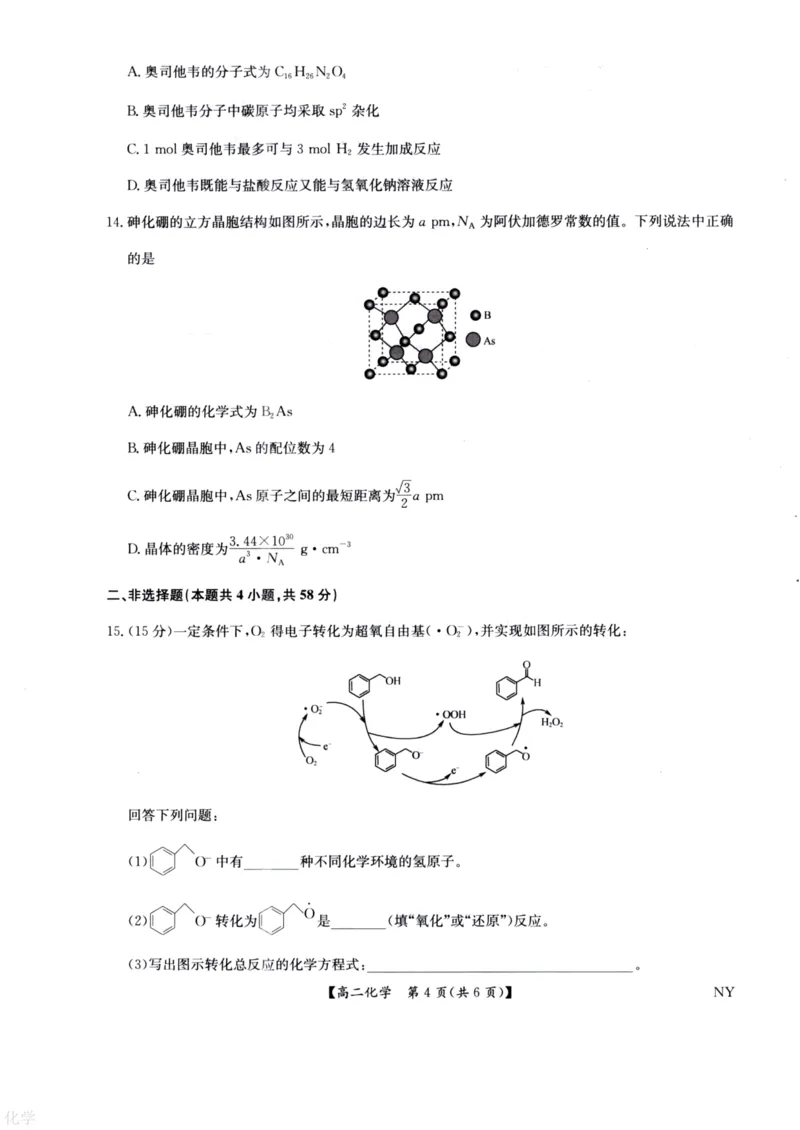 河南省南阳市九师联盟2024-2025学年高二下学期6月期末考试化学试题（含答案）_2025年6月_250619河南省南阳市九师联盟2024-2025学年高二下学期6月期末（全科）