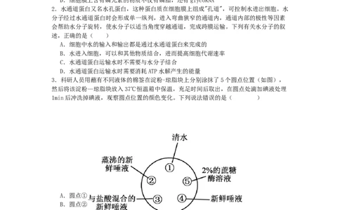广东省惠州市实验中学2025-2026学年高三上学期12月阶段性检测生物试题_2025年12月_251207广东省惠州市实验中学2025-2026学年高三上学期12月阶段性检测（全科）