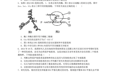 广东省惠州市实验中学2025-2026学年高三上学期12月阶段性检测生物试题_2025年12月_251207广东省惠州市实验中学2025-2026学年高三上学期12月阶段性检测（全科）