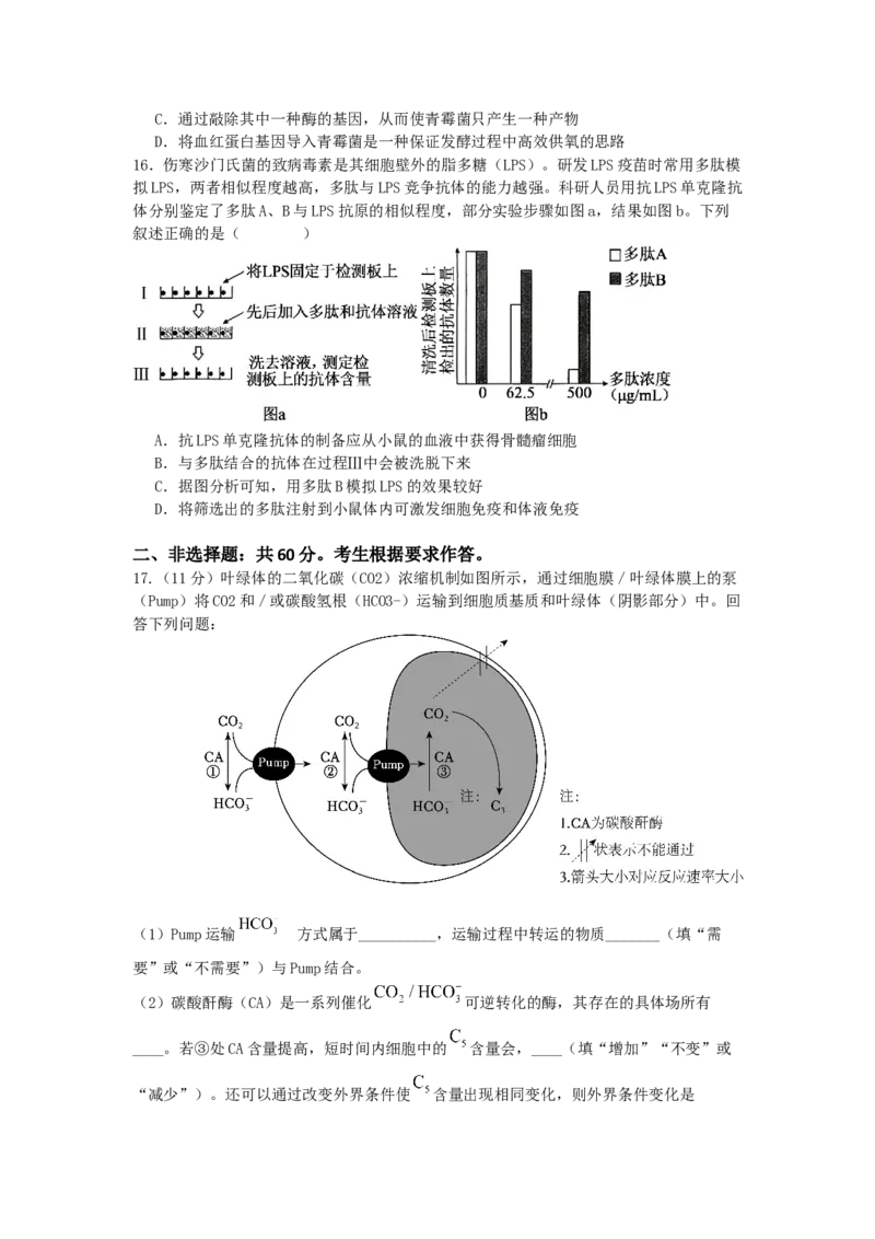 广东省惠州市实验中学2025-2026学年高三上学期12月阶段性检测生物试题_2025年12月_251207广东省惠州市实验中学2025-2026学年高三上学期12月阶段性检测（全科）