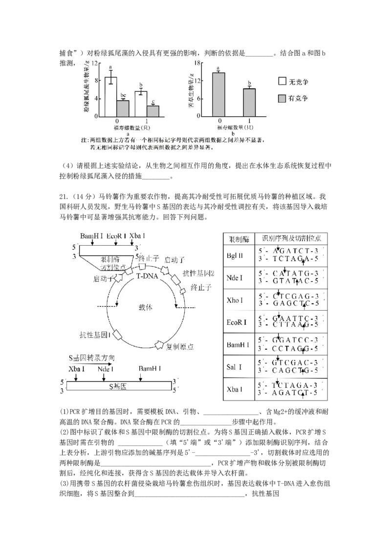广东省惠州市实验中学2025-2026学年高三上学期12月阶段性检测生物试题_2025年12月_251207广东省惠州市实验中学2025-2026学年高三上学期12月阶段性检测（全科）