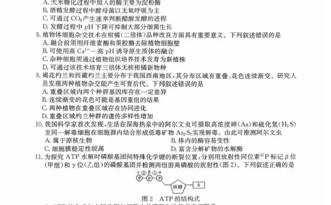 广东省清远市2025-2026学年高三上学期10月教学质量检测（一）生物试题（含答案）_251102广东省清远市2025-2026学年高三上学期10月教学质量检测（一）