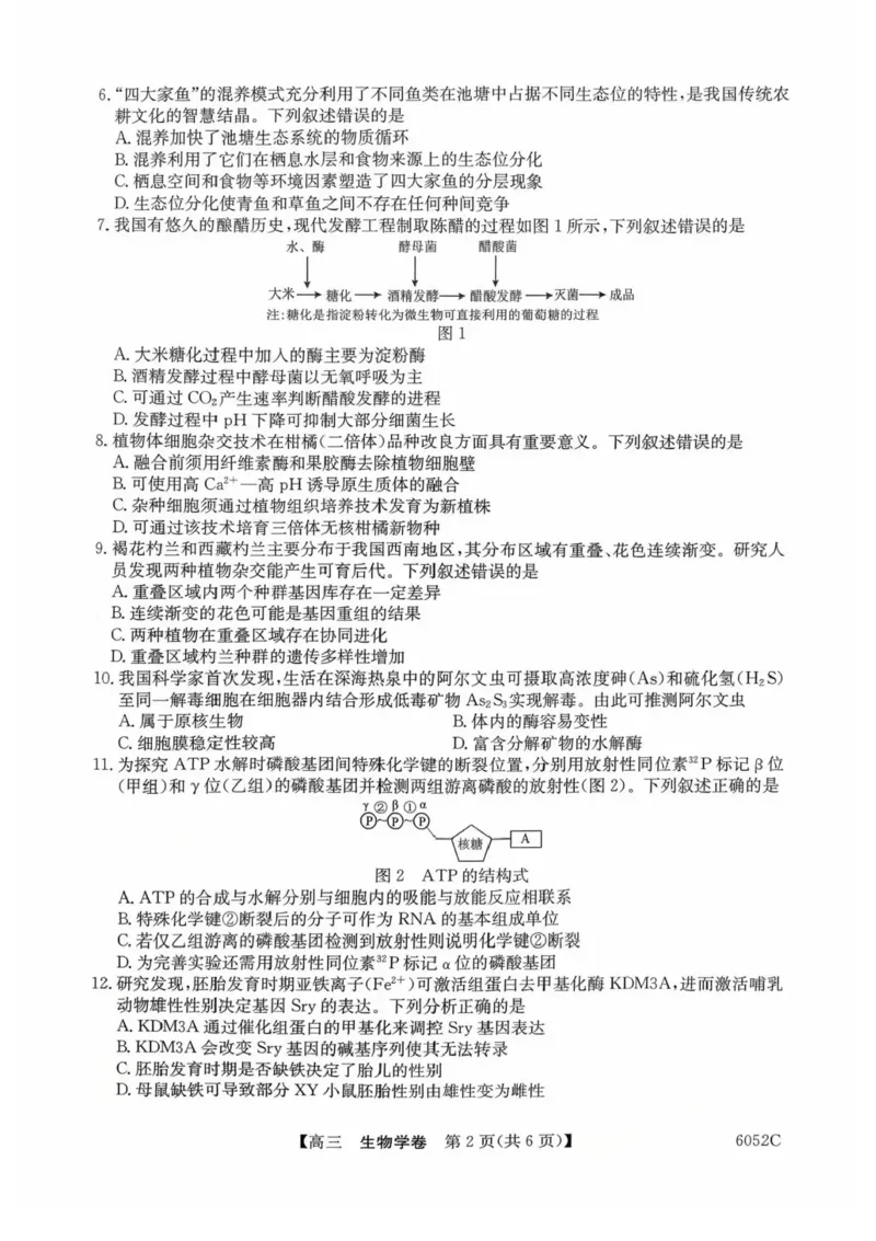 广东省清远市2025-2026学年高三上学期10月教学质量检测（一）生物试题（含答案）_251102广东省清远市2025-2026学年高三上学期10月教学质量检测（一）