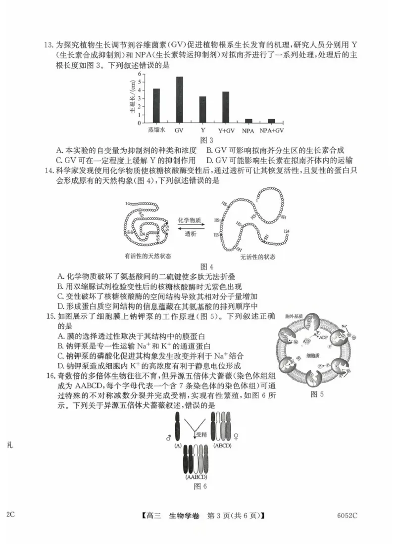 广东省清远市2025-2026学年高三上学期10月教学质量检测（一）生物试题（含答案）_251102广东省清远市2025-2026学年高三上学期10月教学质量检测（一）